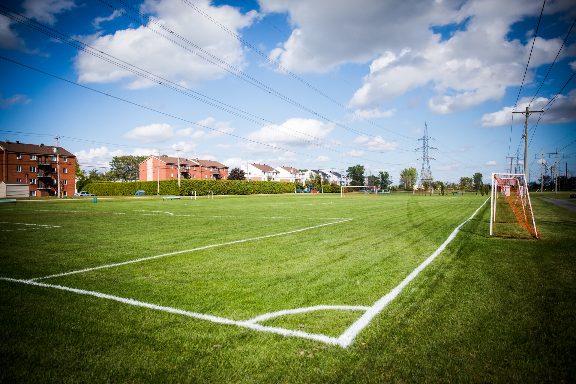 État des terrains sportifs