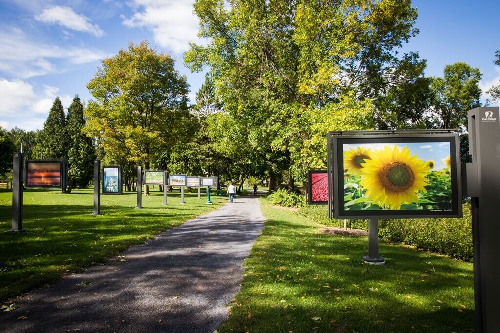 <p style="text-align: justify;">Dans le cadre des célébrations du 60<sup>e</sup> anniversaire de la ville, un sentier des arts a été inauguré au parc André-J.-Côté (112, boulevard Marie-Victorin). Constitué de 20 structures permanentes formant un parcours d'exposition, le Sentier des arts vise à rendre accessibles au public des oeuvres picturales, et ce, tout au long des quatre saisons.</p>
<p style="text-align: justify;">Rappelons qu’en 2016, la Ville s’est dotée d’une Politique d’acquisition des oeuvres d’art dans le but d’assurer le développement culturel du territoire et d’encourager les artistes. Le Sentier des arts est une action concrète en ce sens. Les arts et la créativité étant des moteurs de la vie culturelle et du rayonnement d’une municipalité, ce sentier sera certes une source d’inspiration et de fierté pour les Candiacois actuels et ceux des générations futures.</p>
<p><a href="https://candiac.ca/activites/sentier-des-arts" target="_blank" rel="noopener">Cliquez ici pour découvrir l'exposition en cours. </a></p>